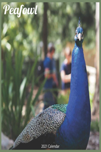 Peafowl 2021 Calendar