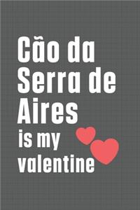 Cão da Serra de Aires is my valentine
