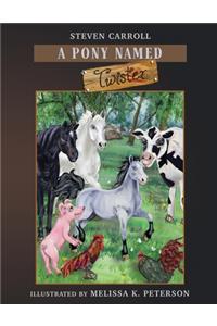 A Pony Named Twister