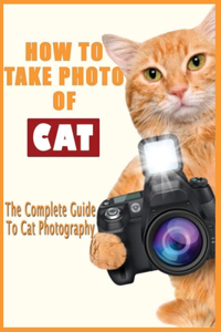 How To Take Photo Of Cat