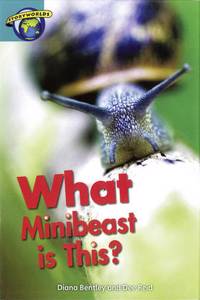 Fact World Stage 6: What Minibeast Is This?