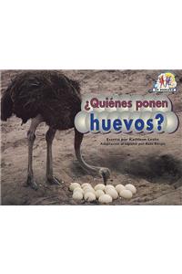 Quienes Ponen Huevos?