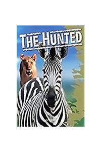 Rigby Focus Fluency: Leveled Reader Bookroom Package Nonfiction (Levels O-S) the Hunted