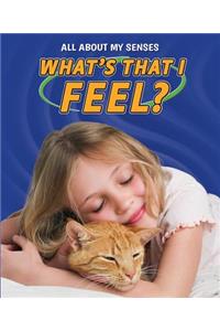 What's That I Feel?