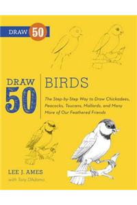 Draw 50 Birds