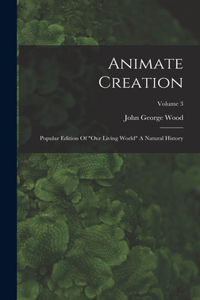 Animate Creation