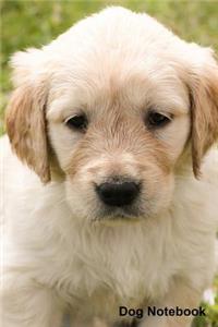 Dog Notebook