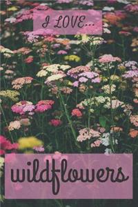 I Love Wildflowers