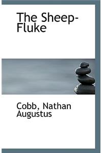 The Sheep-Fluke