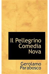 Il Pellegrino Comedia Nova