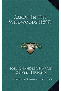 Aaron in the Wildwoods (1897)