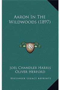 Aaron in the Wildwoods (1897)