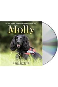 Molly: The True Story of the Amazing Dog Who Rescues Cats