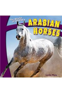 Arabian Horses
