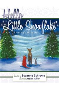 Hello Little Snowflake