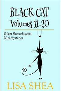 Black Cat Vols. 11-20 - The Salem Massachusetts Mini Mysteries