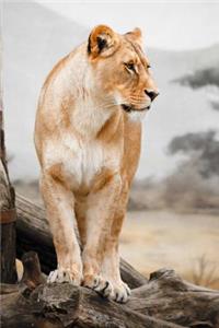 Mind Blowing Lioness Profile Journal