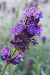 Lavender Flower Journal
