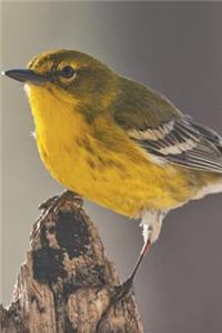 Yellow Warbler Journal: 150 Page Lined Notebook/Diary