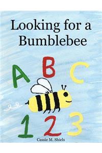 Looking for a Bumblebee