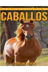 Caballos