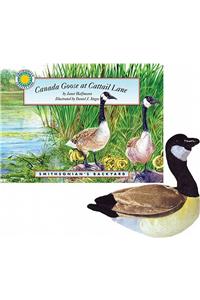 Canada Goose at Cattail Lane