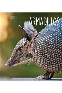 Armadillos