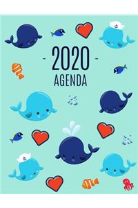 Balena Agenda 2020