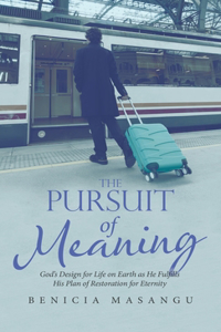 Pursuit of Meaning