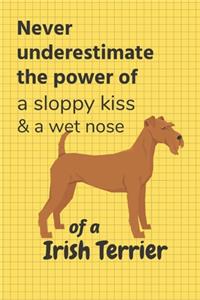 Never underestimate the power of a sloppy kiss & a wet nose of a Irish Terrier