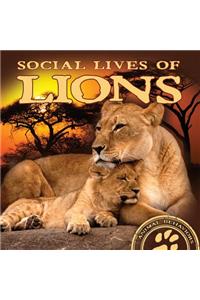 Social Lives of Lions