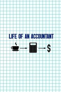 Life Of An Accountant