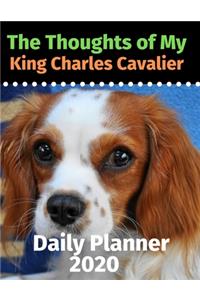 The Thoughts of My King Charles Cavalier