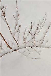 2020 Weekly Planner Snowy Branch 134 Pages