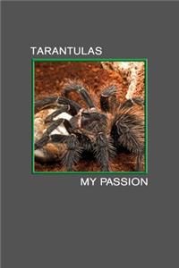 Tarantulas my Passion