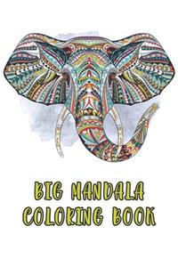 Big Mandala Coloring Book