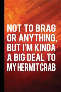 Not to Brag or Anything, But I'm Kinda a Big Deal to My Hermit Crab