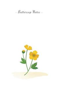 Buttercup Notes