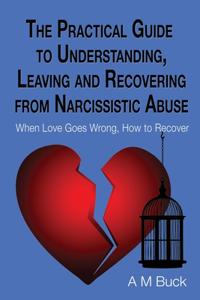Practical Guide to Understanding, Leaving and Recovering from Narcissistic Abuse