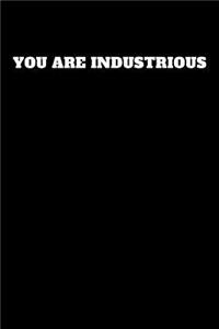 You Are Industrious