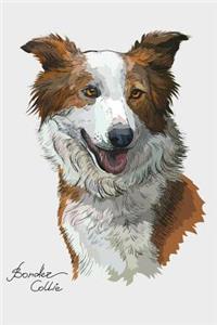 Border Collie Notebook