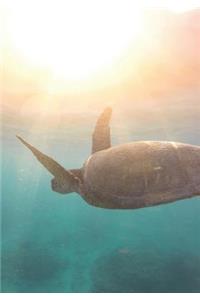 2019 Appointment Calendar