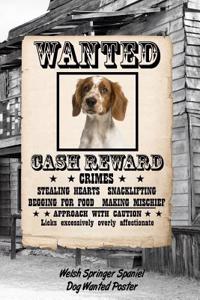 Welsh Springer Spaniel Dog Wanted Poster