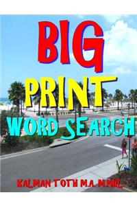 Big Print Word Search