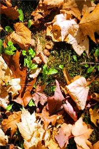 Journal Fall Leaves Acorn Caps
