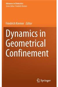 Dynamics in Geometrical Confinement