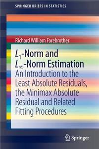 L1-Norm and L&#8734;-Norm Estimation