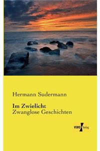 Im Zwielicht