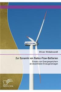 Zur Dynamik von Redox-Flow-Batterien