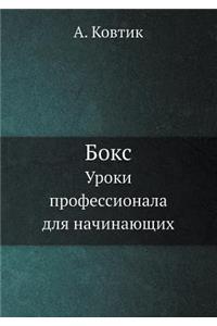 Boks Uroki Professionala Dlya Nachinayuschih